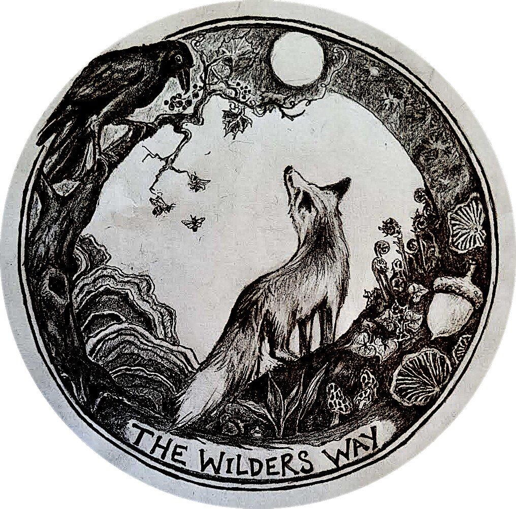 The Wilders Way